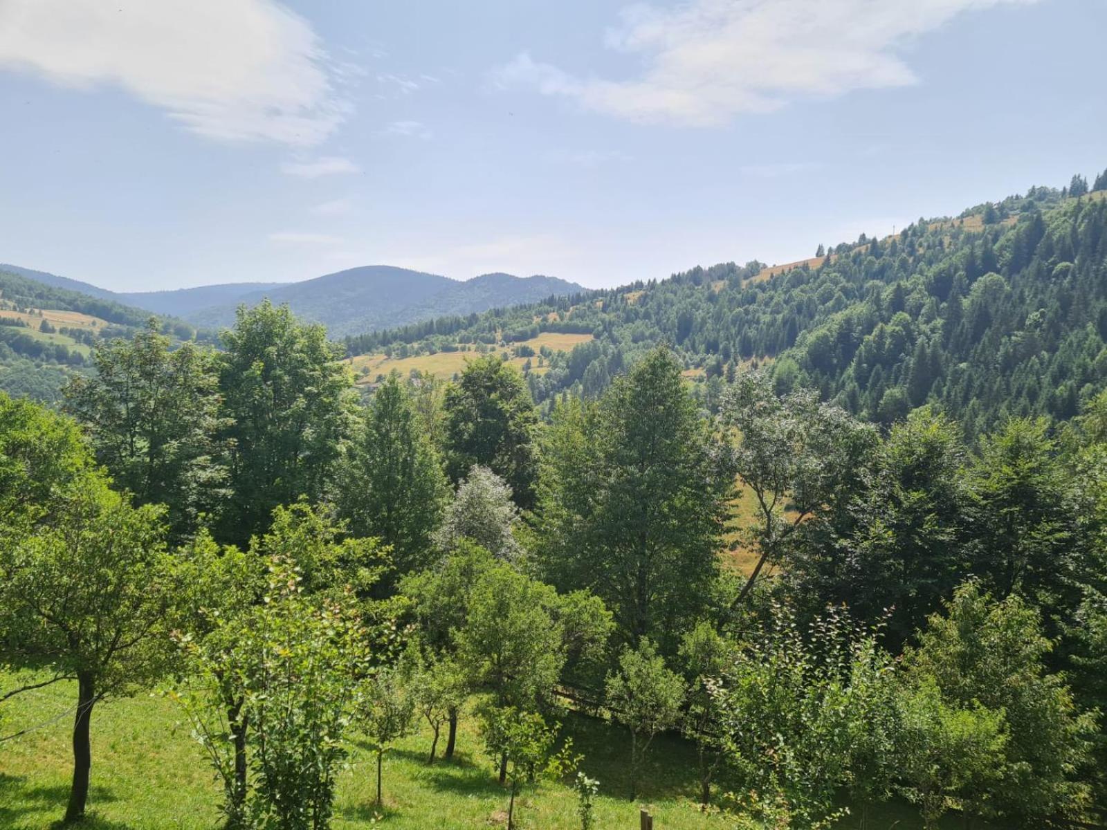 Apuseni Holidays Rachitele Exterior foto